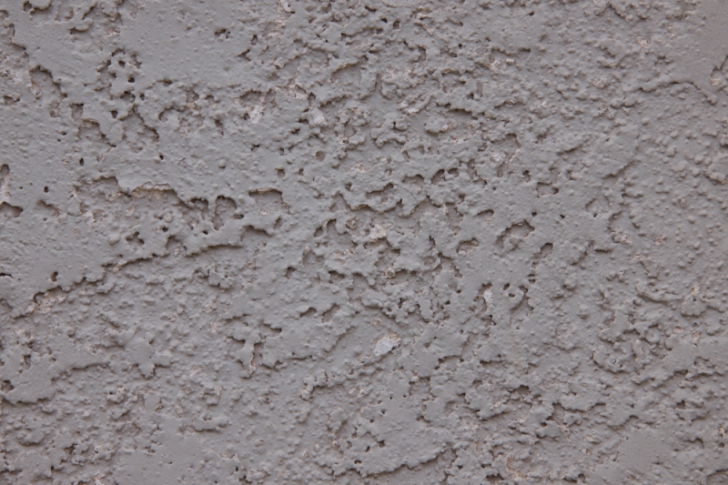 First Impressions Review: Laowa 200mm f/2 AF FF Lens