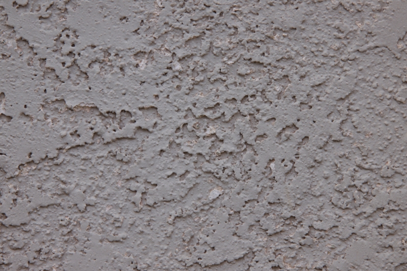 First Impressions Review: Laowa 200mm f/2 AF FF Lens