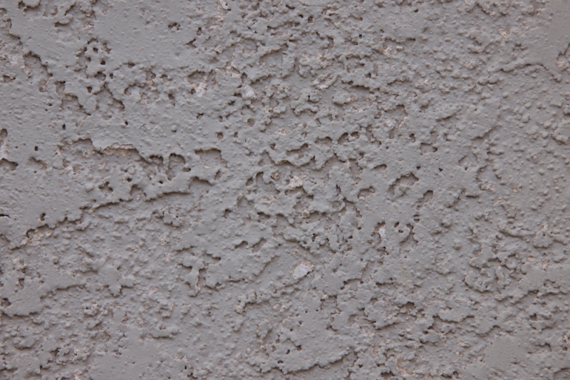 First Impressions Review: Laowa 200mm f/2 AF FF Lens