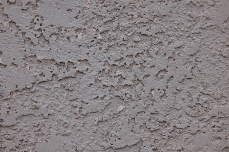 First Impressions Review: Laowa 200mm f/2 AF FF Lens