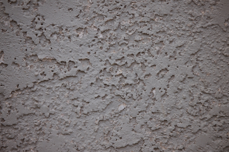 First Impressions Review: Laowa 200mm f/2 AF FF Lens