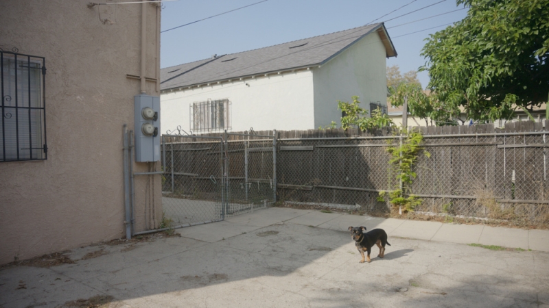 Our Hands-On Review of the Nikon ZR: Part One