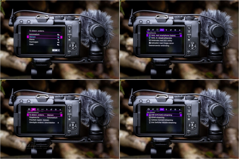 We Review the Canon EOS R50 V Mirrorless Camera