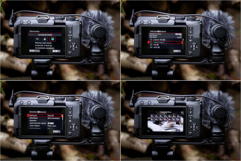 We Review the Canon EOS R50 V Mirrorless Camera