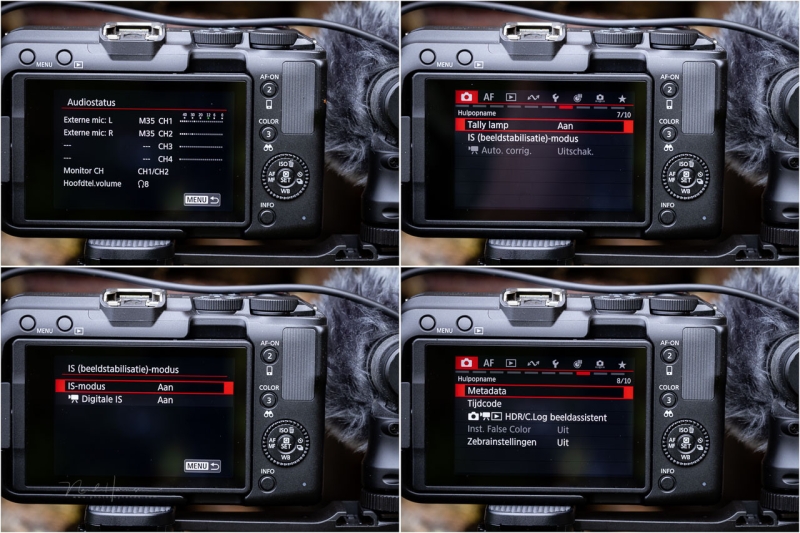 We Review the Canon EOS R50 V Mirrorless Camera