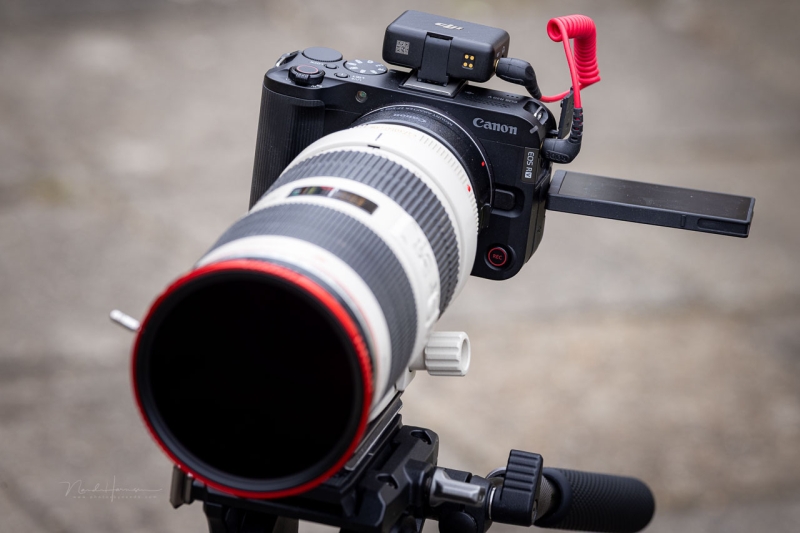 We Review the Canon EOS R50 V Mirrorless Camera