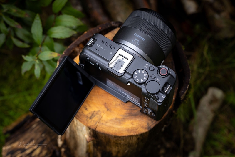 We Review the Canon EOS R50 V Mirrorless Camera