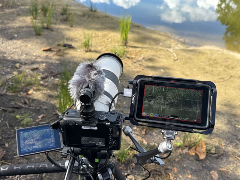 We Review the Canon EOS R50 V Mirrorless Camera