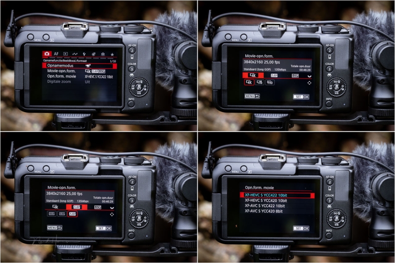 We Review the Canon EOS R50 V Mirrorless Camera