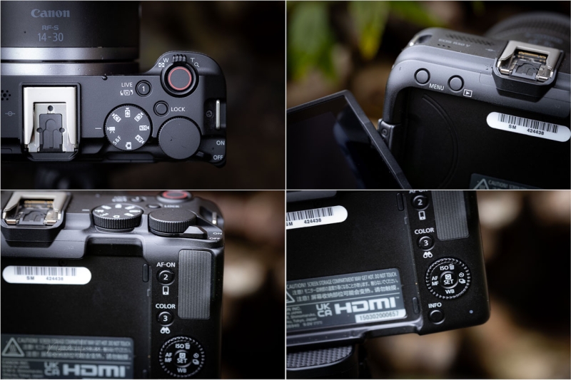 We Review the Canon EOS R50 V Mirrorless Camera