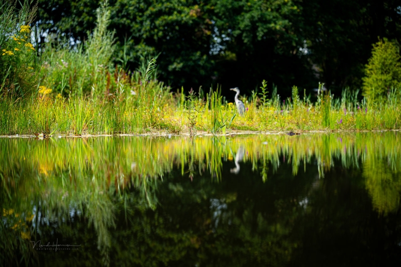 We Review the Nikon Z5 II Mirrorless Camera