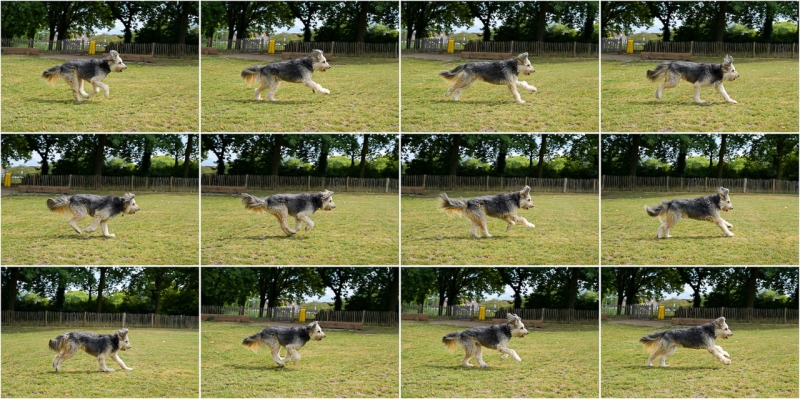 We Review the Nikon Z5 II Mirrorless Camera