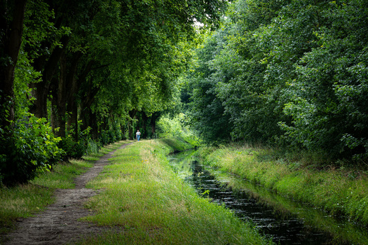 We Review the Nikon Z5 II Mirrorless Camera