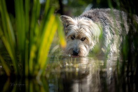 We Review the Nikon Z5 II Mirrorless Camera