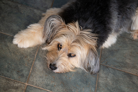 We Review the Nikon Z5 II Mirrorless Camera