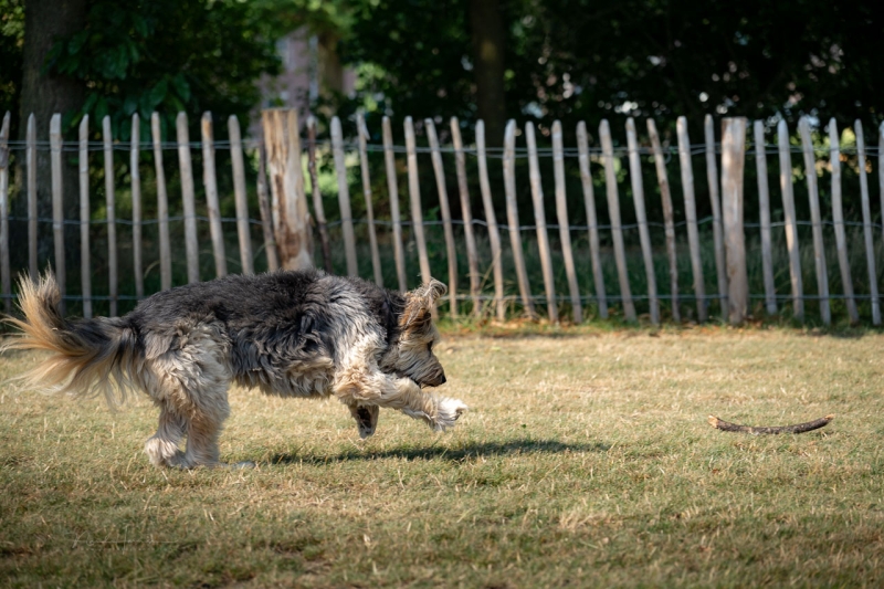 We Review the Nikon Z5 II Mirrorless Camera