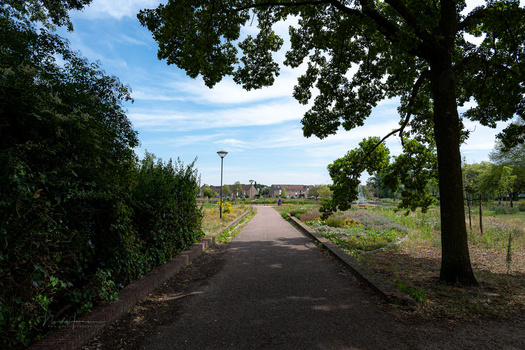 We Review the Nikon Z5 II Mirrorless Camera