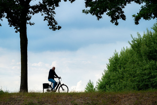 We Review the Nikon Z5 II Mirrorless Camera