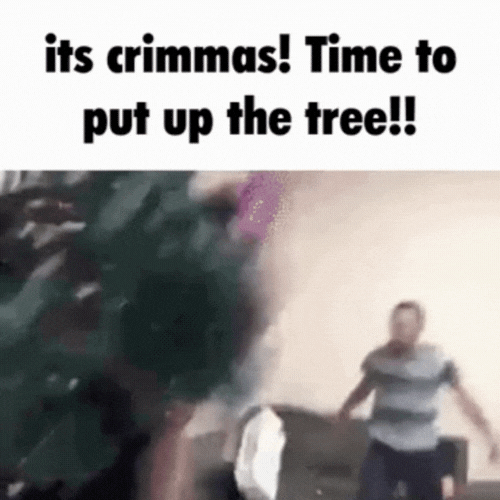 20 Funny Christmas Memes 2025 & How to Make and Animate One