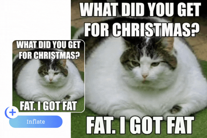 20 Funny Christmas Memes 2025 & How to Make and Animate One