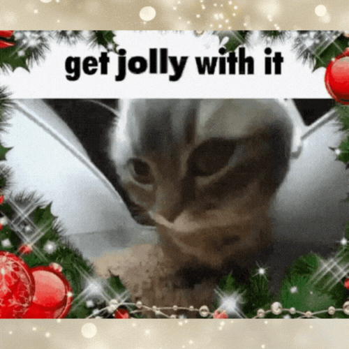 20 Funny Christmas Memes 2025 & How to Make and Animate One