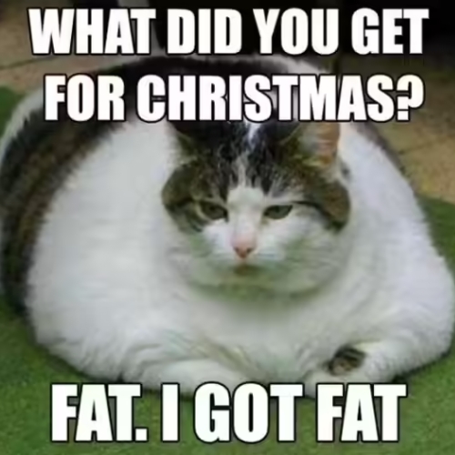 20 Funny Christmas Memes 2025 & How to Make and Animate One