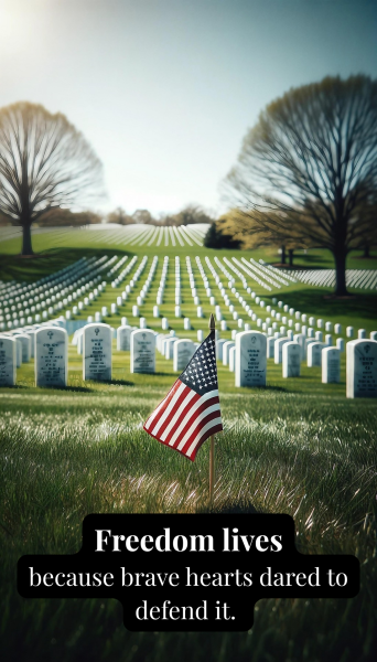 60+ Veterans Day Quotes and Messages to Honor Courage and Sacrifice