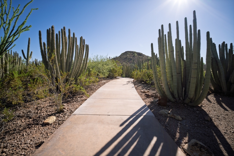 This Sub-$200 Lens Will Change How You Pack for Travel Photos