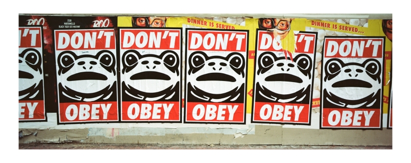 Three Weeks With Kodacolor 200: First Impressions From the Road