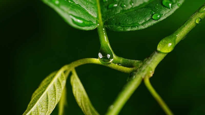 Sony a7 V Hands-On: Dynamic Range, Speed, and AI in One Hybrid Body