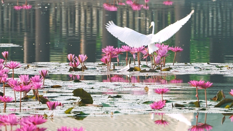 Sony a7 V Hands-On: Dynamic Range, Speed, and AI in One Hybrid Body