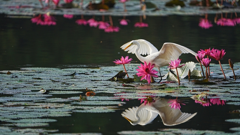 Sony a7 V Hands-On: Dynamic Range, Speed, and AI in One Hybrid Body