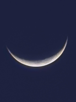 We Review Mate X7, the Latest Foldable Smartphone from Huawei, With Impressive Camera Technology.