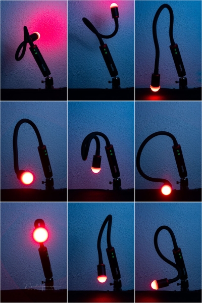 Field Test: SmallRig RM 03 Macro Photography LED Light for Close-Up Work