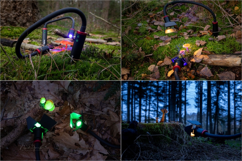 Field Test: SmallRig RM 03 Macro Photography LED Light for Close-Up Work