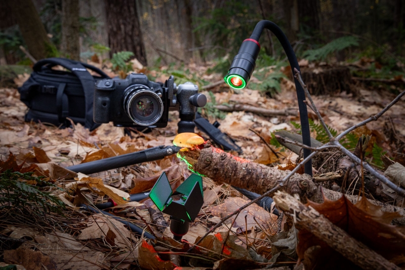 Field Test: SmallRig RM 03 Macro Photography LED Light for Close-Up Work