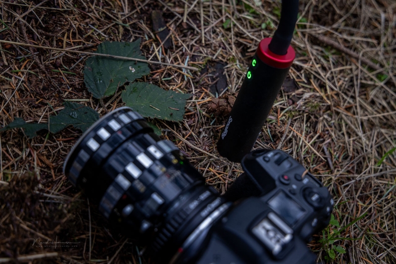 Field Test: SmallRig RM 03 Macro Photography LED Light for Close-Up Work